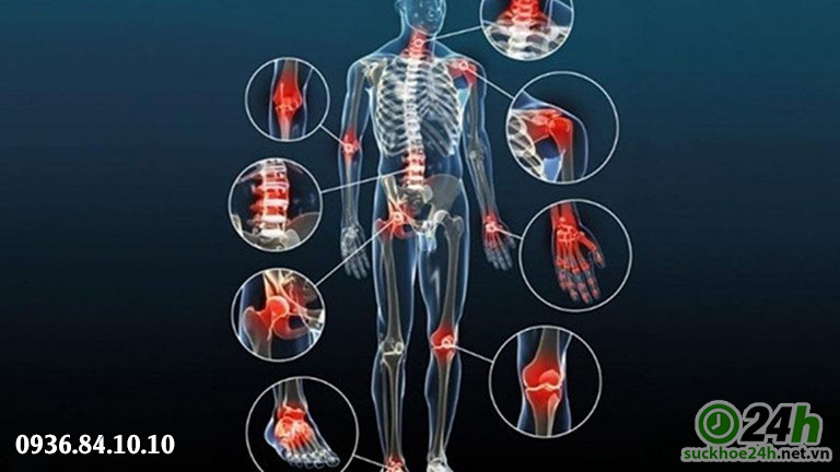 free body lừa đảo