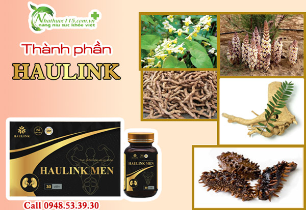 thành phần Haulink Men