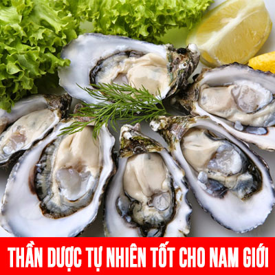 Tác Dụng Của Hàu Đối Với Đàn Ông Và Công Dụng Tăng Cường Sinh Lý