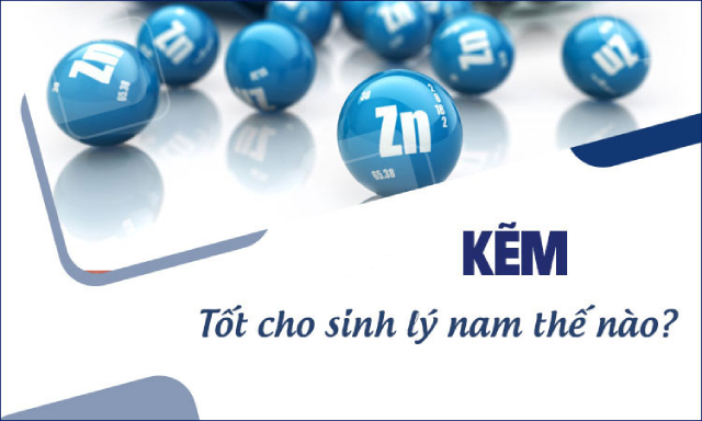Tác dụng tuyệt vời của Kẽm đối với sức khỏe sinh sản nam giới