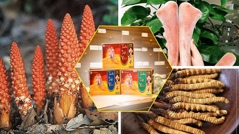 Thành phần Xuân Dược Vương có những hiệu quả gì?