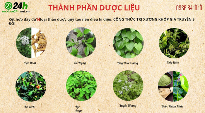 thành phần thông tý đan
