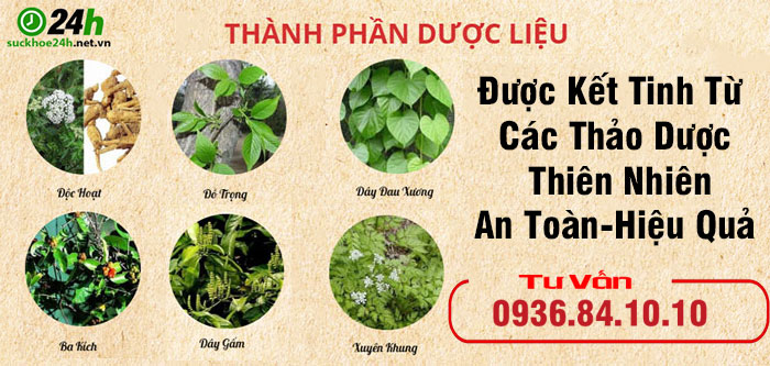 thông tý đan có tốt không ở thành phần
