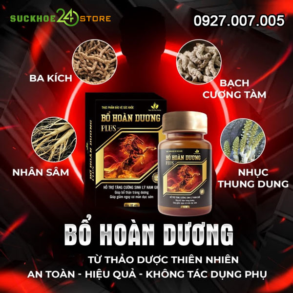 Thành phần Bổ Hoàn Dương có thực sự tốt cho nam giới?