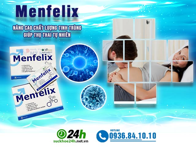 Giới thiệu sản phẩm Menfelix