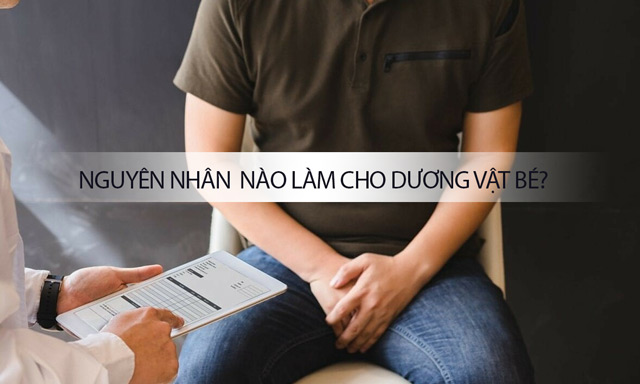 Nguyên nhân nào khiến cậu nhỏ bé