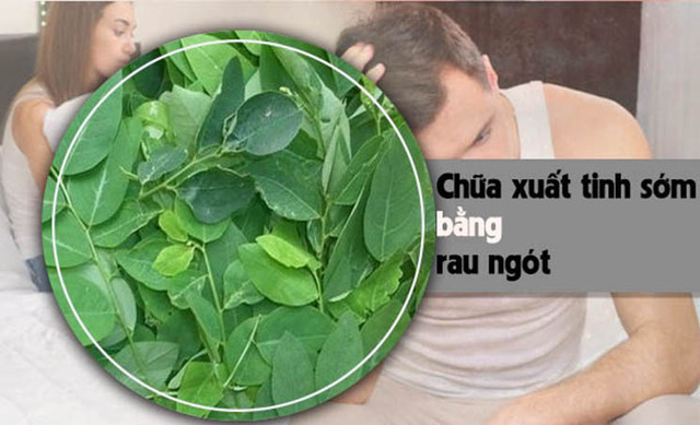 rau ngót chữa xuất tinh sớm
