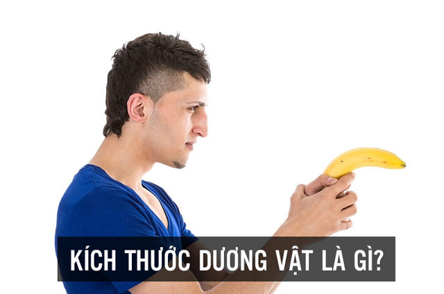 Dương vật là gì ?
