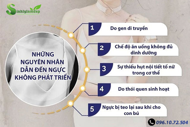 kích thước vòng 1 do yếu tố nào quyết định